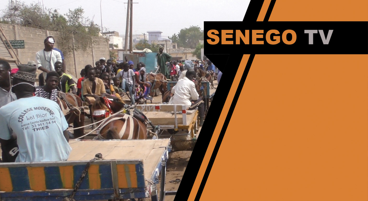 Senego TV – Magal Touba 2017 : Les charretiers se frottent les mains… – Regardez