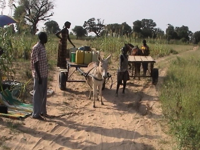Au Sénégal, 4.000 villages toujours pas connectés au réseau hydraulique