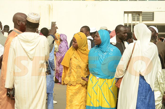 Procès Imam Ndao – Me Wane: « L’Armée a été mobilisée à 4 heures du matin pour arrêter l’épouse de Matar Diokhané… »