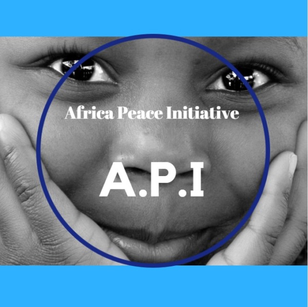 Afrcia Peace Initiative : « La Paix, condition du développement durable… et vice versa »