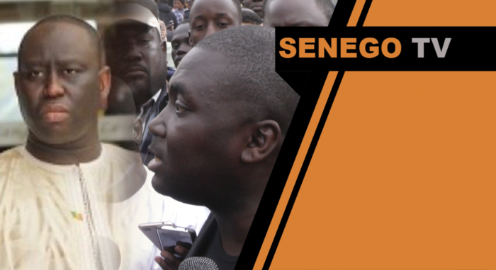 Senego TV –  Bamba Fall : « Aliou Sall ne serait jamais devenu maire si… »