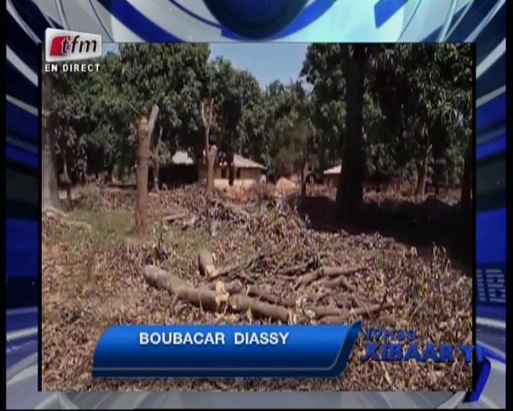 Urgent -Casamance: Bourouma Toumbaré Sané, convoqué pour l’enquête meurt subitement ( Vidéo)