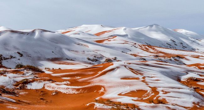 Vidéo et Photos – La neige a envahi les belles dunes de sable du Sahara