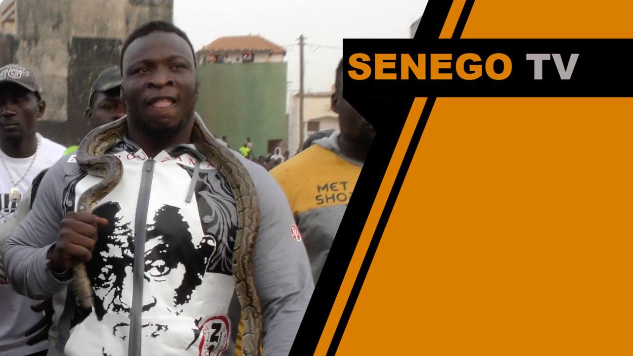 Senego Tv – Open Press Ama Baldé: « les requins m’attendent, mais je sais ce… »