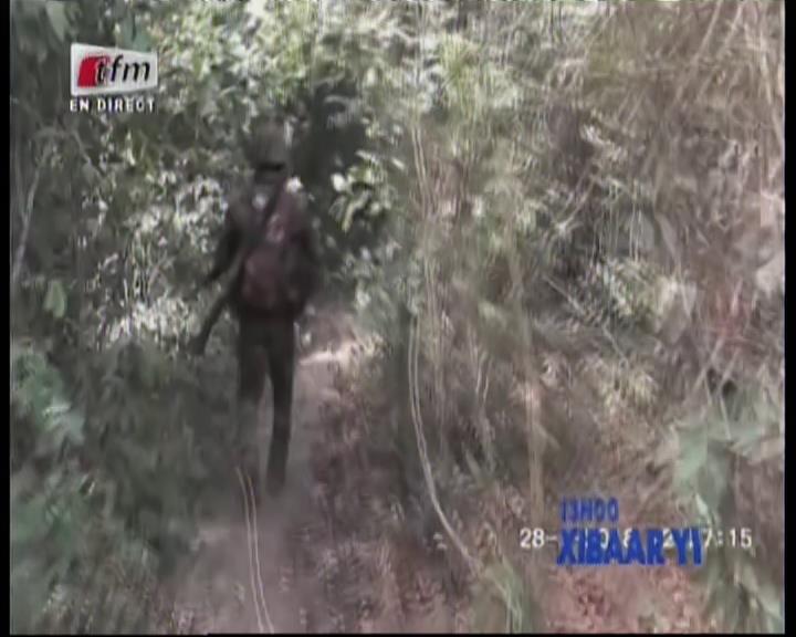 Vidéo – Bourofaye: l’armée démantèle 03 champs de Yamba et détruit des…