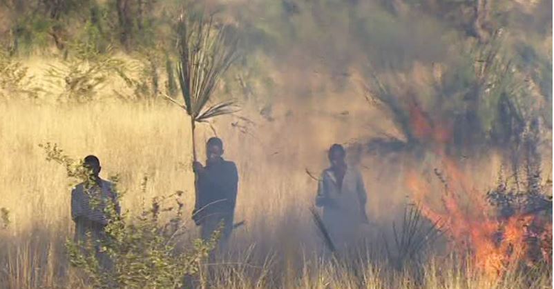 Le Parc Niokolo Koba ravagé par un violent incendie