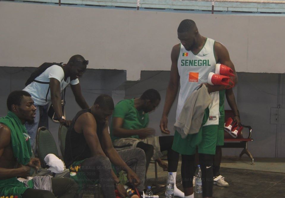 (04 Photos) Basket – Equipe nationale: La séance d’entrainement des Lions en images