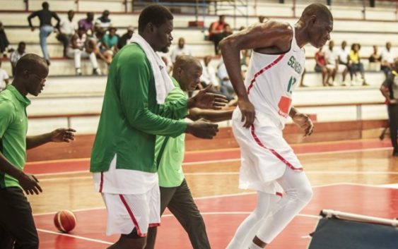 Basket – Infirmerie des lions: Hamady Ndiaye et Mouhamed Faye récupérables