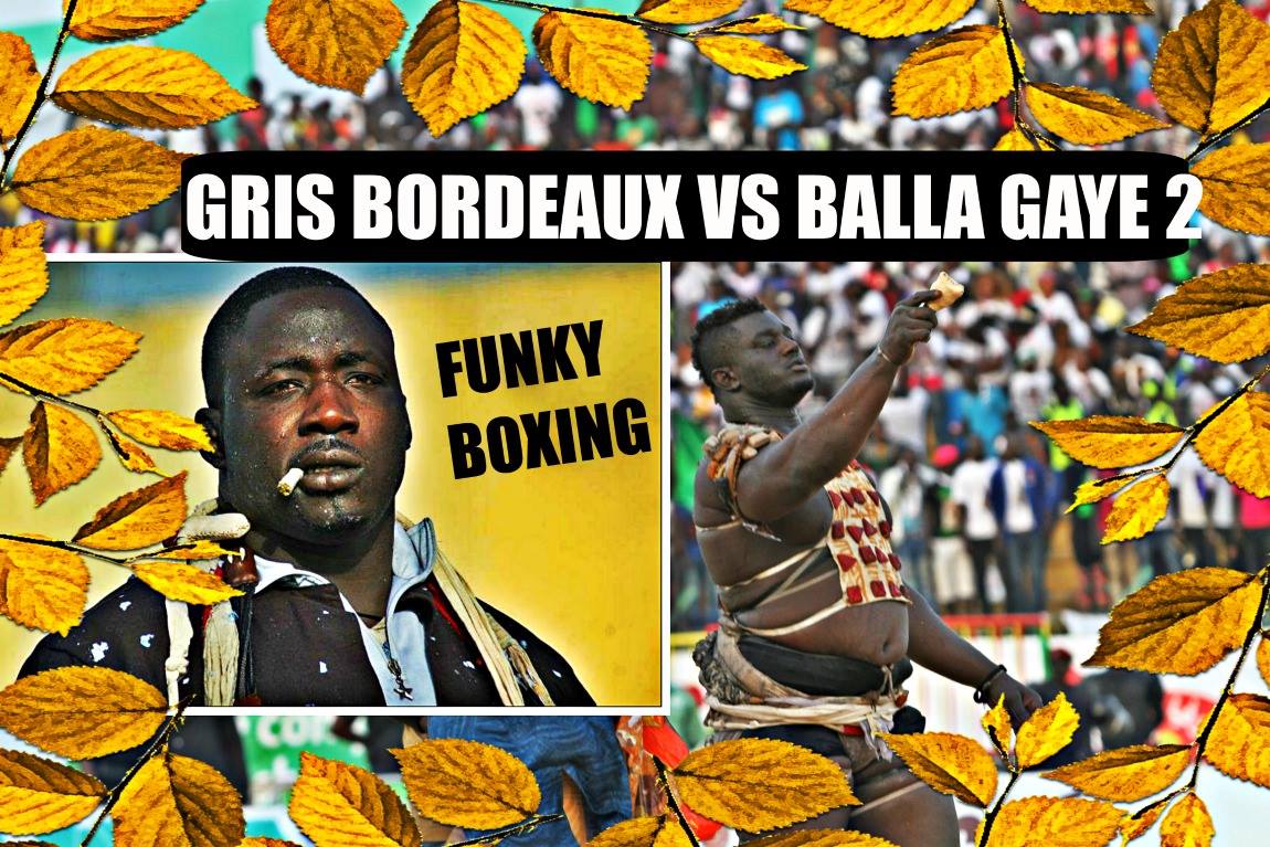 (Vidéo) Lutte – Balla Gaye 2/Gris Bordeaux: Coach Allouche revisite le palmarès des deux champions!