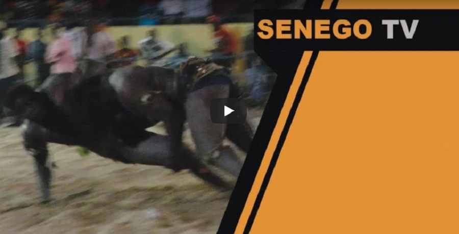 Senego-TV: Best of Bébé Saloum vs Jet li… Regardez