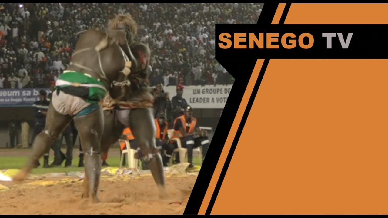 Senego TV – Best of Balla Gaye 2 vs Gris Bordeaux: Le Lion rugiffant de retour…