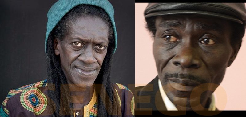 Festival Saint Louis Jazz : Cheikh Lô et Souleymane Faye rendent hommage à Habib Faye