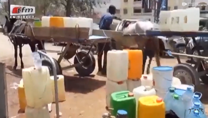 Vidéo – Dakar ville sans eau, les populations font le « bawunaan ». Regardez !