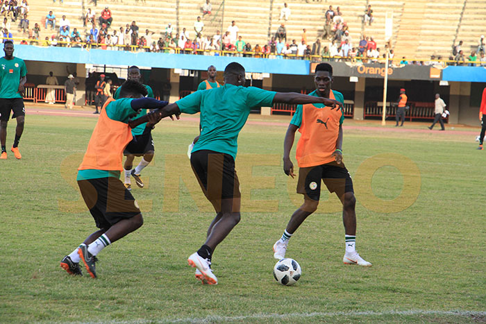 Foot: Le Sénégal, 3e pays africain qui exporte le plus de joueurs dans le monde