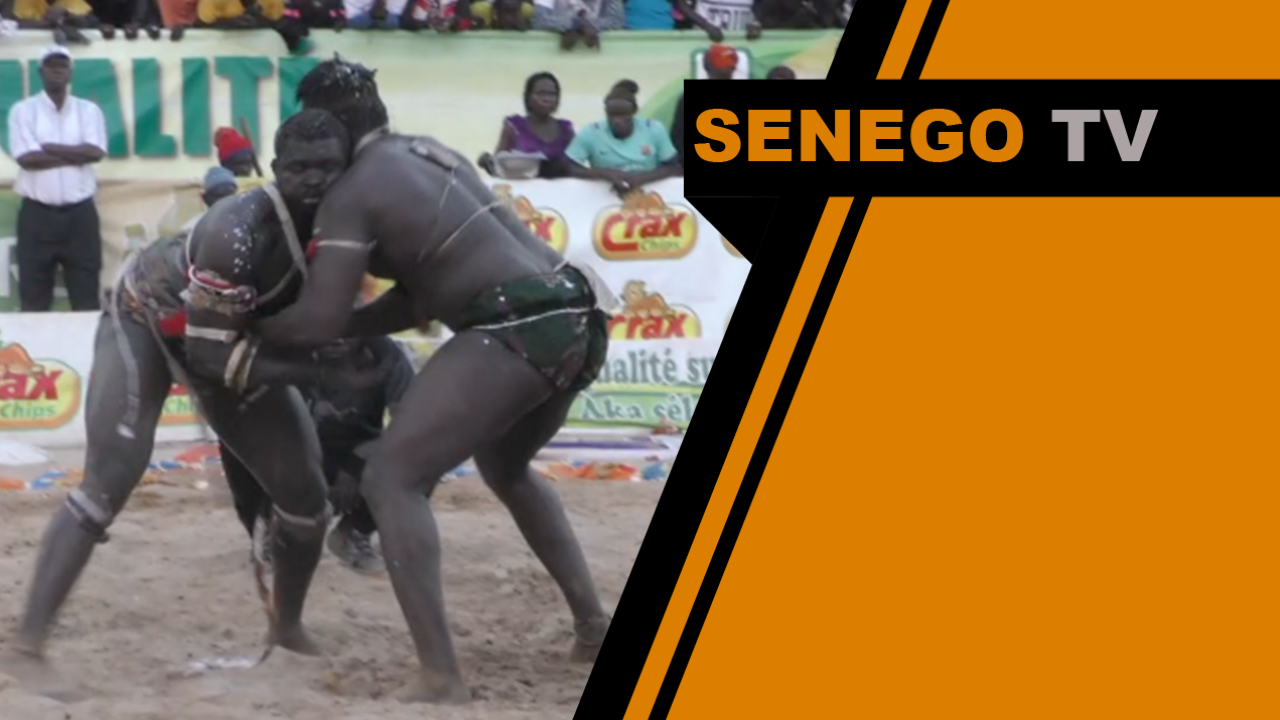 Senego TV – Best of Moussa Ndoye vs Lac Rose: ça pleut des coups de poing…