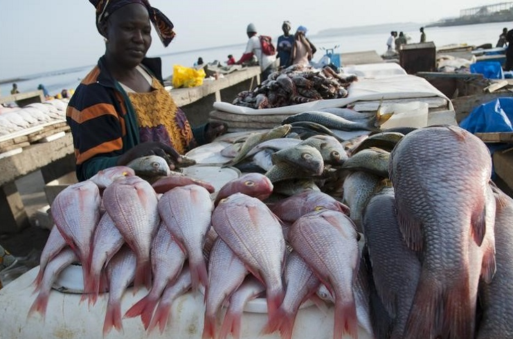 Ouakam: « Journée sans poisson » pour fustiger la concurrence déloyale des Yoffois