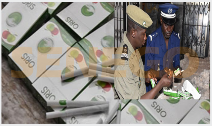 Fraude : La gendarmerie saisit 78 cartons de cigarettes d’une valeurs de 54.600.000 francs CFA à…