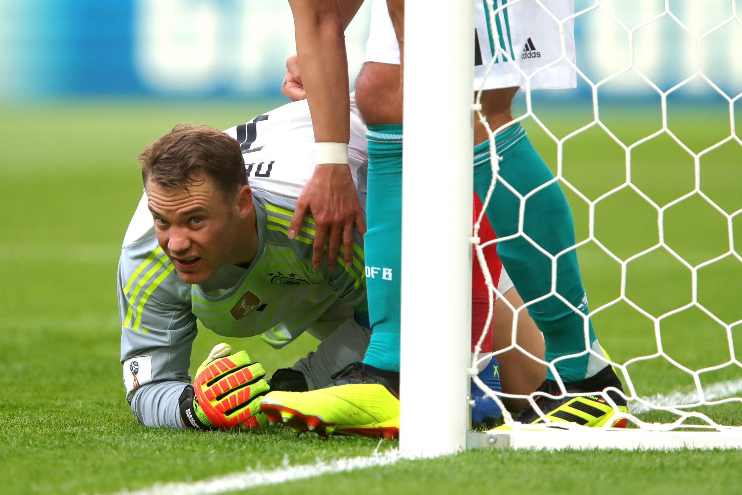 CDM 2018 – Pari animalier, l’éléphant Zella avait raison pour l’Allemagne