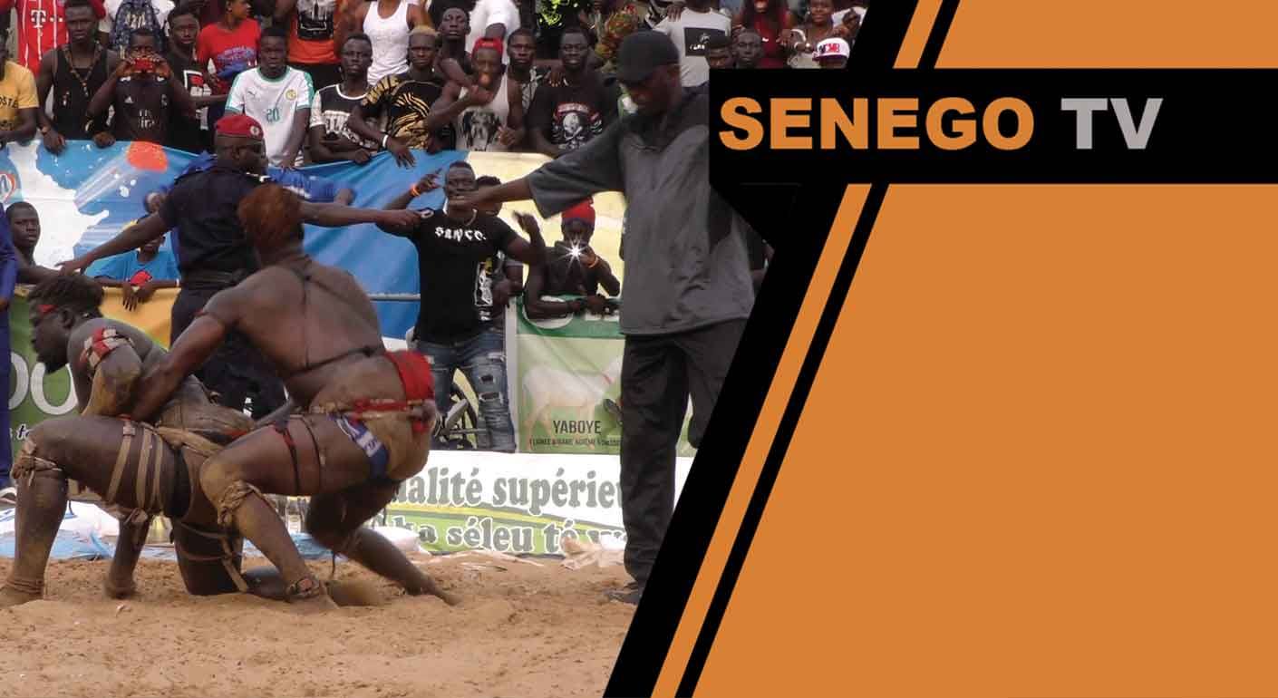 Senego TV: l’erreur d’arbitrage du combat Coly Faye vs Keweul