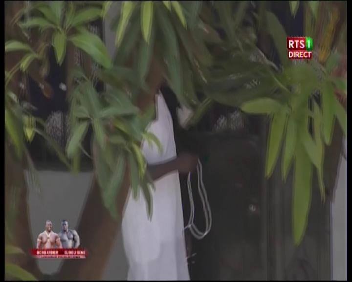 Vidéo – Bombardier, entre « Kharfafoufas » et départ