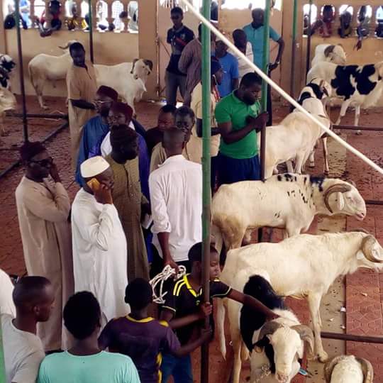 Tabaski à Tivaouane: Le legs de Al Amine perpétué par sa famille