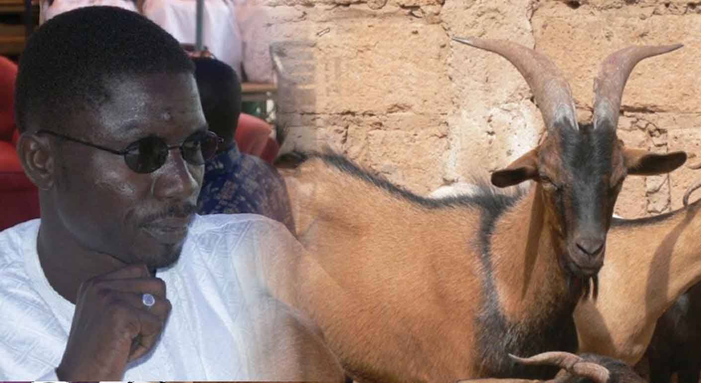 Audio – Taïb Socé: « Sénégal guissimou koufi tabaské bey… »