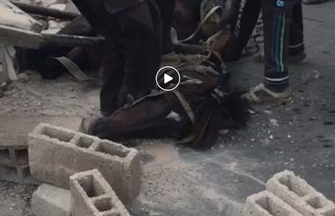 Vidéo – Découvrez les souffrances de ce cheval sur… (âmes sensibles s’abstenir)