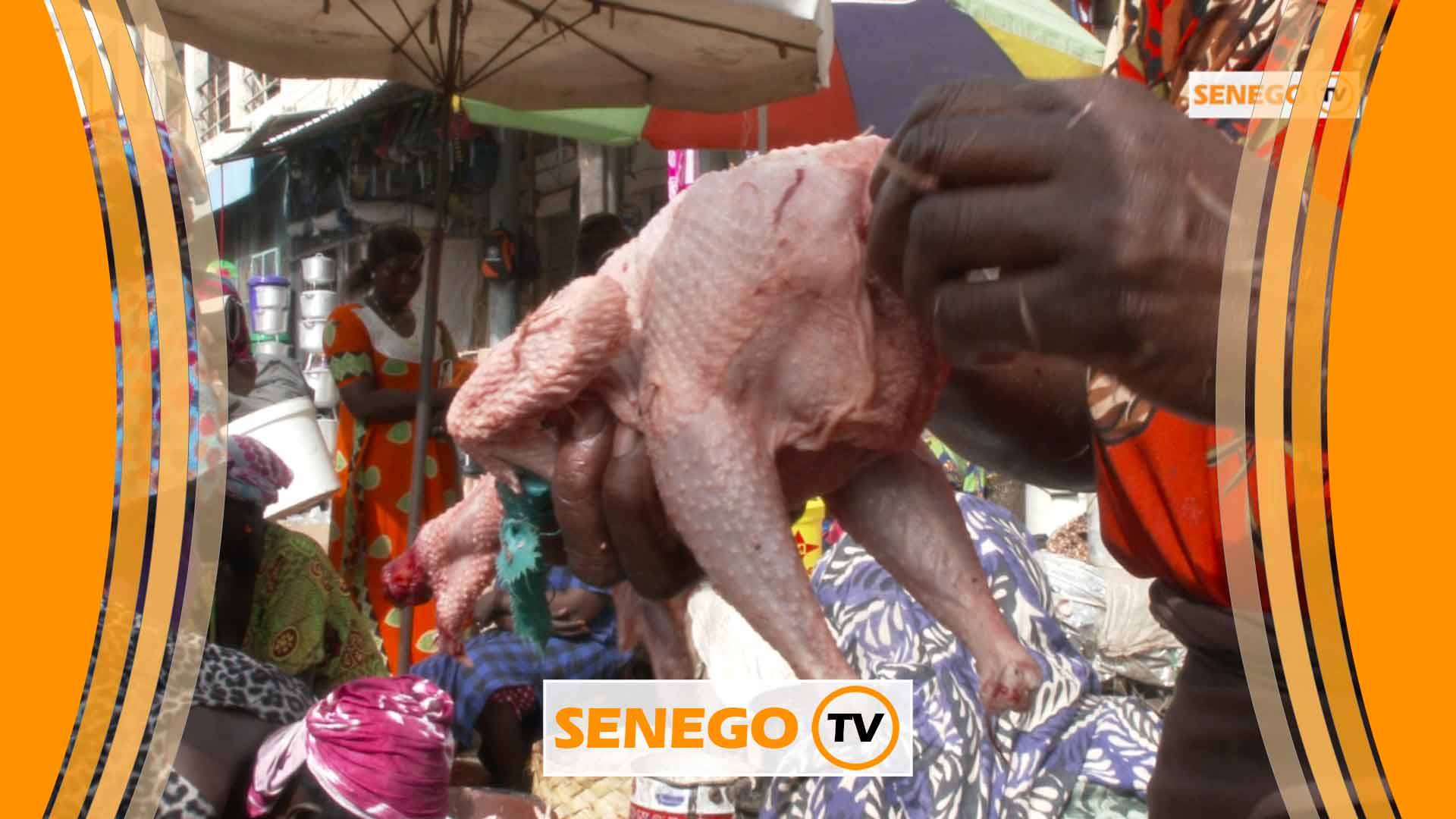 Senego Tv – Marché Ocass: 200fr le poulet pour…