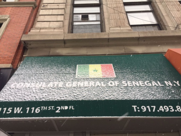 Election 2019 – La distribution des cartes électeurs à New York a démarré ce Vendredi…