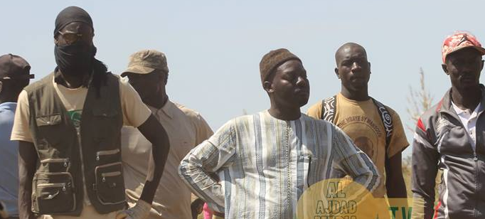 (Photos)-Regardez la récolte des champs de Boulél de Serigne Abdoul Aziz SY Al Amine
