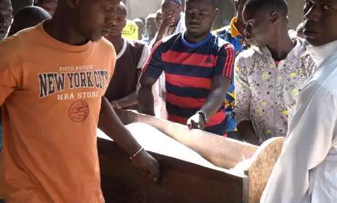 Drame insolite en Casamance : un homme confondu à un singe abattu sur un arbre…