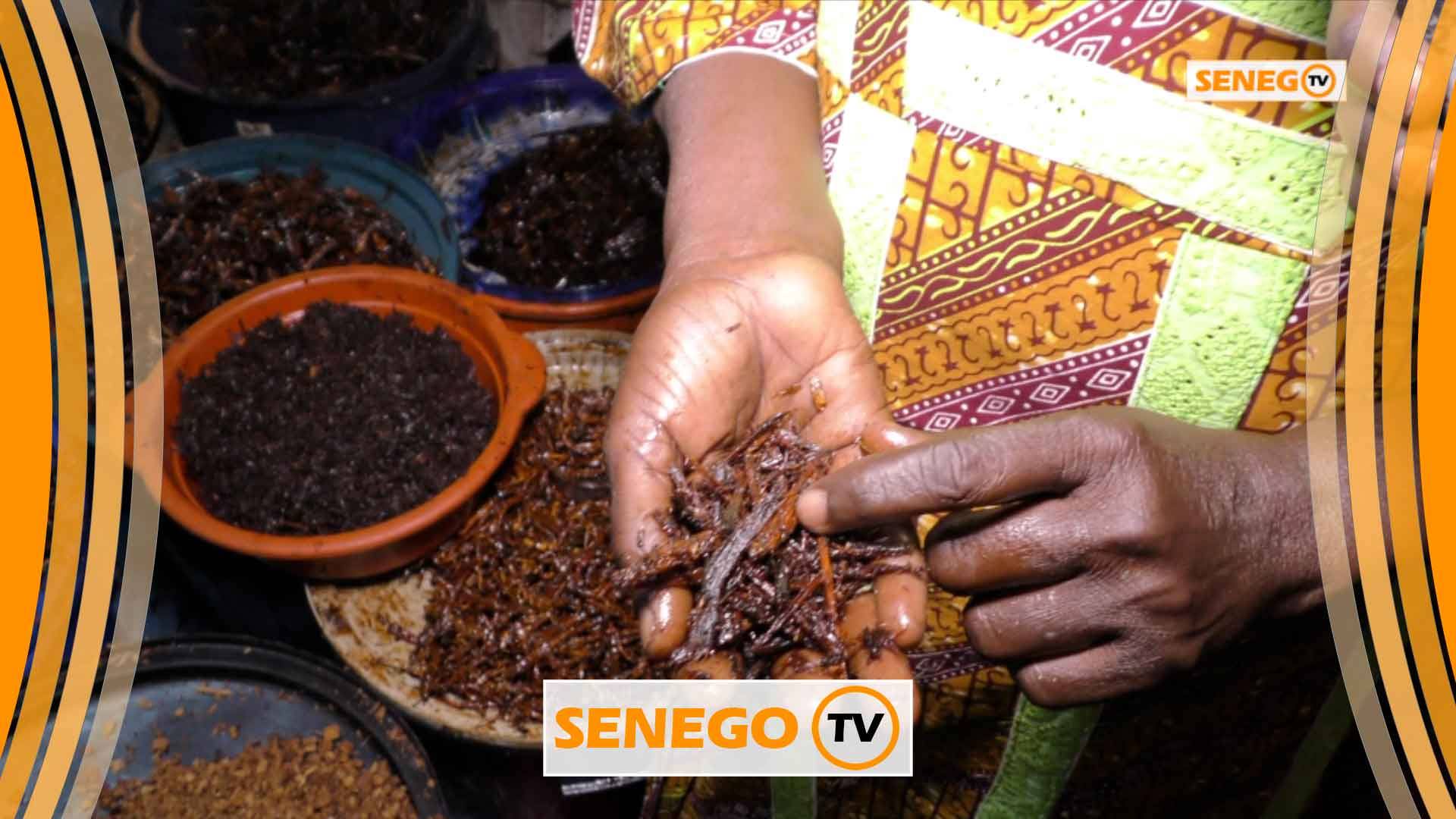 Senego Tv – Foire internationale de Dakar: « Thiouraye » à 50 mille F Cfa, découvrez les bienfaits de ce produit