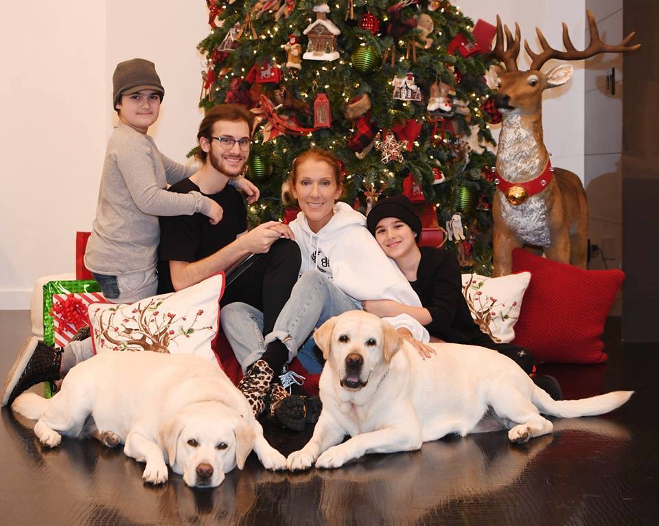 Noël sans Réné, le message de Céline Dion est …