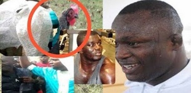 Mystique: Un marabout de Modou Lô arrêté chez Balla Gaye 2…