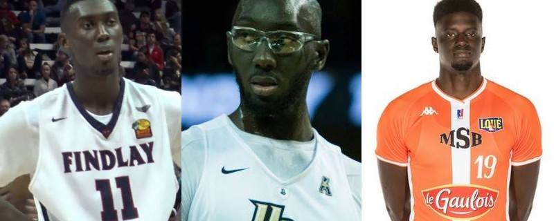 Basket – Equipe nationale: Youssoupha Fall, Tacko Fall et Lamine Diané pourraient intégrer la tanière