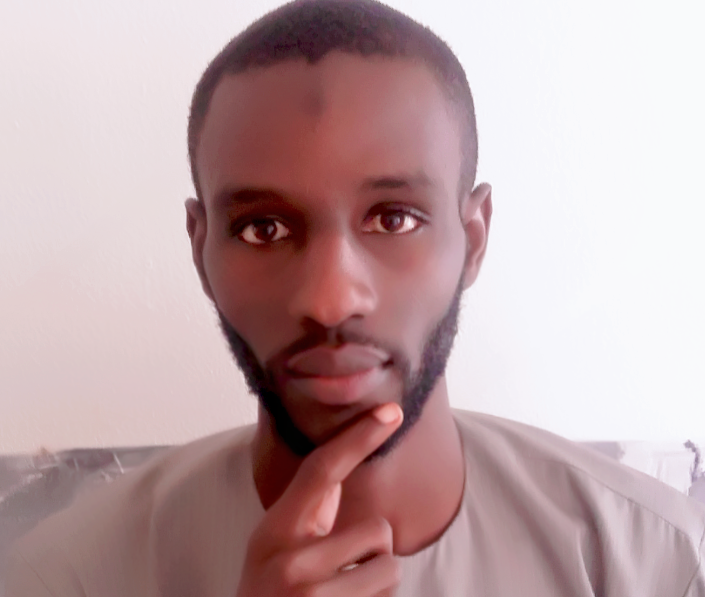 « L’im-politique » Sénégalaise : Les français devraient nous « recoloniser ». Par Cheikh TRAORÉ (Contribution)