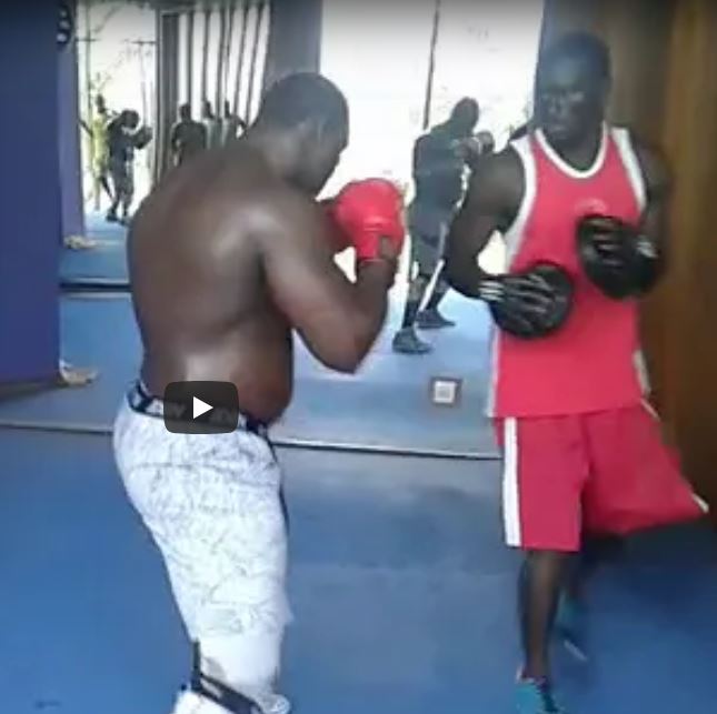 (Vidéo) Lutte: Une autre vidéo de Modou Lô dans une séance de boxe, Regardez!