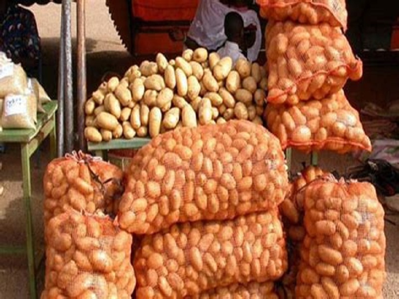 Thiaroye Gare : Pour un sac de patates, un Sénégalais tue un Guinéen