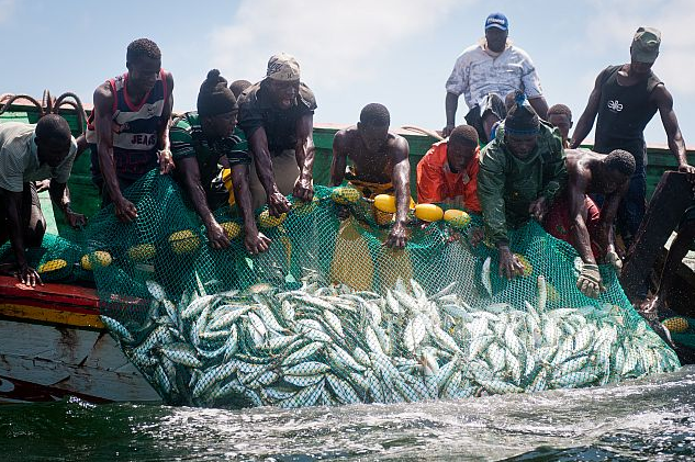 Guet Ndar: 400 licences de pêche octroyées aux pêcheurs