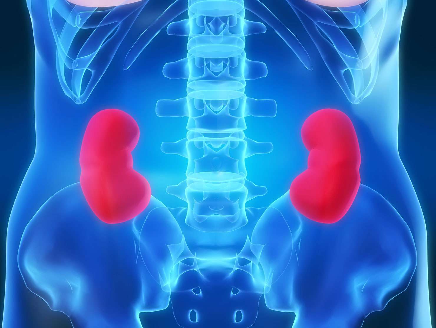 Bientôt, la transplantation rénale au Sénégal