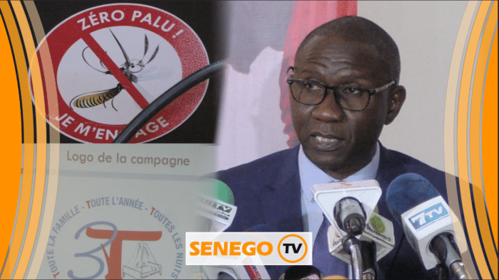 Senego TV – Campagne contre le paludisme : Le Pnlp mobilise plus de 10 millions de moustiquaires.