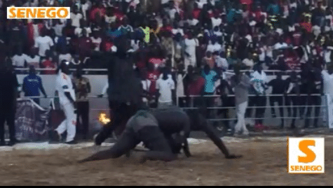 Wouly Bat le Policier Big Patto (Video)