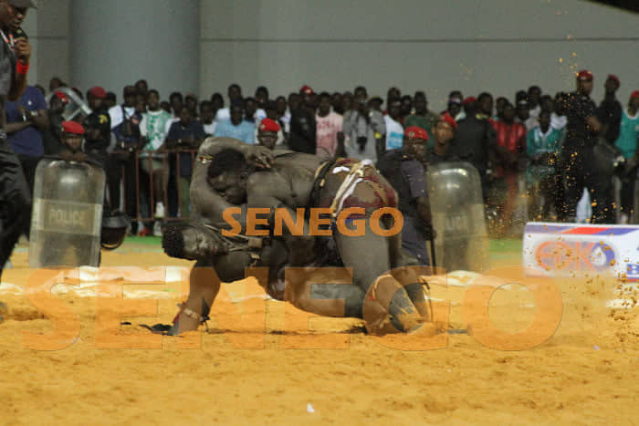 Lutte : Revivez la chute spectaculaire en images du combat entre Reug Reug et Gris 2 ! - Une foule de personnes - Concurrence