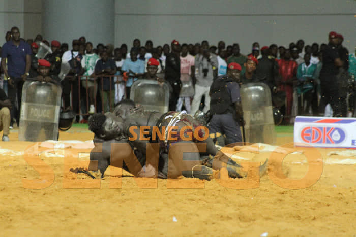 Lutte : Revivez la chute spectaculaire en images du combat entre Reug Reug et Gris 2 ! - Un groupe de personnes jouant sur un comptoir - Lieu de sport