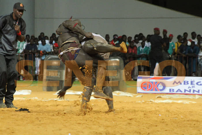 Lutte Revivez En Images La Chute Spectaculaire Du Combat Entre Reug Reug Et Gris 2 Senego Com