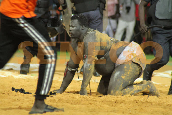 Lutte : Revivez la chute spectaculaire en images du combat entre Reug Reug et Gris 2 ! - Une personne en costume - Des sports