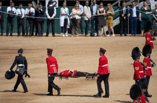 Répétitions pour la célébration de l’anniversaire d’Elizabeth II : Deux gardes s’écroulent !