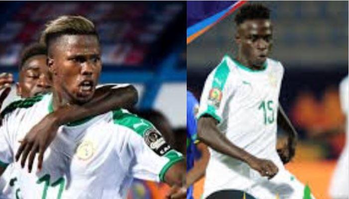 Can du Sénégal : Contenu intéressant, à améliorer