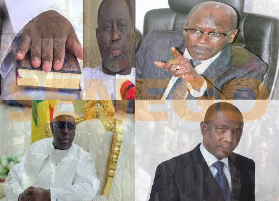 Seydou Guèye : « Franck Timis est crédible financièrement et techniquement… »