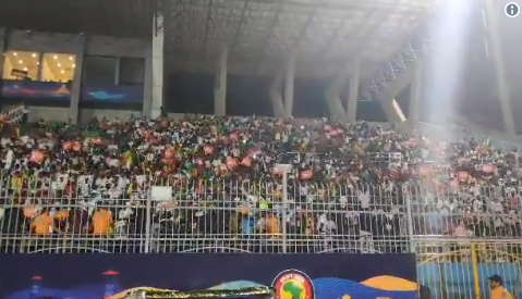 Egypte : La joie des supporters sénégalais (Vidéo)